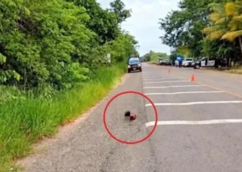 Hallan 2 cabezas humanas cerca de base militar en Chiapas