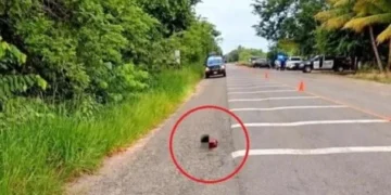 Hallan 2 cabezas humanas cerca de base militar en Chiapas