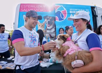Anuncia Felifer tags de geolocalización en la primera Carrera de Bienestar Animal 2026