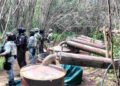 Desmantelan cuatro laboratorios clandestinos para producir drogas sintéticas en Michoacán y Guerrero