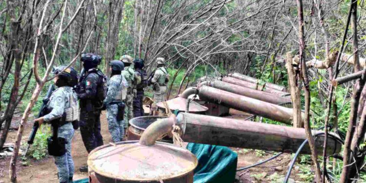 Desmantelan cuatro laboratorios clandestinos para producir drogas sintéticas en Michoacán y Guerrero