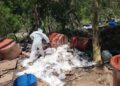 Halla Marina 2 toneladas de droga en narcolaboratorio de Sinaloa