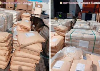 Inmovilizan 54 toneladas de dextrosa en Manzanillo