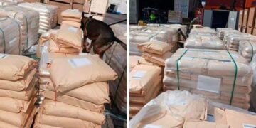 Inmovilizan 54 toneladas de dextrosa en Manzanillo