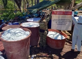 Detectan narcolaboratorios en 24 estados