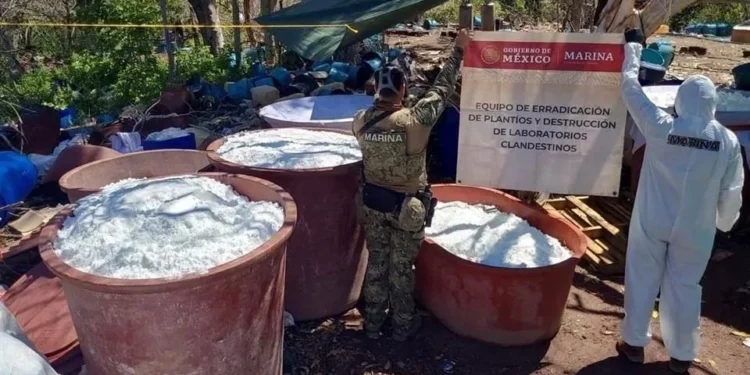 Inhabilitan más de 2 mil 700 laboratorios de metanfetamina en la gestión de Sheinbaum
