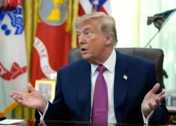 Ordena Trump quitar protección a lobo gris mexicano