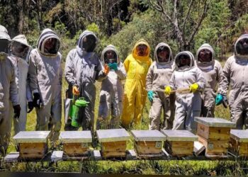 IMPA El Marqués intercambia experiencias en Colombia para mejorar la protección de abejas