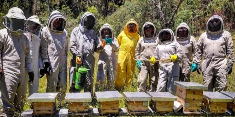 En el encuentro, se conocieron procesos especializados de valoración veterinaria, atención nutricional y rehabilitación de abejas previo a su reubicación.