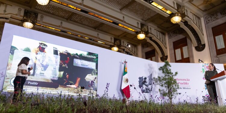 Actualmente se beneficia a 414 mil 80 campesinos y campesinas; se han plantado desde su creación en 2019, mil 202 millones de árboles de especies nativas y endémicas