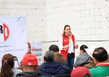 En noviembre, definiciones de coordinaciones en el PRI: Abigail Arredondo