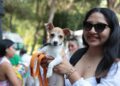 Anuncia AMEQ segunda Jornada Petfriendly