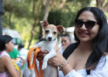 Anuncia AMEQ segunda Jornada Petfriendly