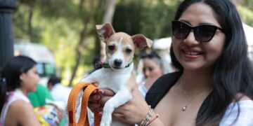 Anuncia AMEQ segunda Jornada Petfriendly