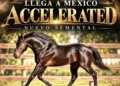 El semental de los millones