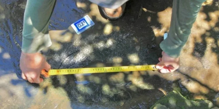 INAH confirma el hallazgo de 50 huellas de dinosaurio en Michoacán