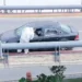 Matan a 2 ex policías ligados a narcogrupo