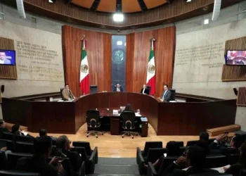 Ordenan ampliar verificación para observadores electorales