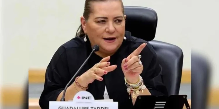 Investigan a presunto chofer de Guadalupe Taddei en el INE