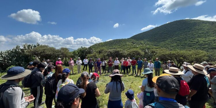 El Municipio de Querétaro lanza jornadas de reforestación para consolidar la Capital Verde