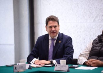 No pasa nada: Ricardo Astudillo, tras salida de Ginna Guzmán de la bancada del PVEM