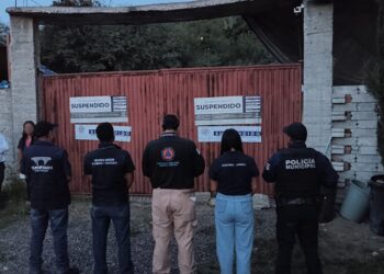 Municipio de Querétaro suspende pensión de perros por irregularidades; asegura a 28 ejemplares