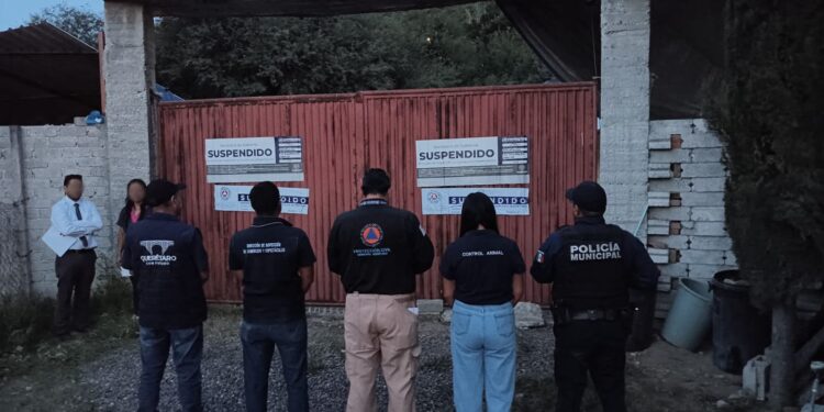 • Clausuran pensión canina clandestina en Juriquilla y rescatan a 28 perros hacinados