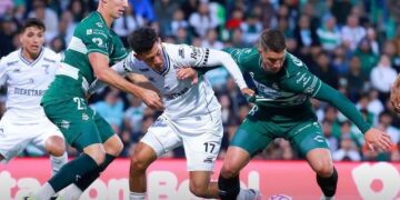 Despluman a los Gallos en Torreón