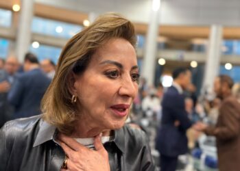 Lupita Murguía permanecerá en el Senado y acompañará a los candidatos