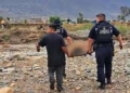 Deja ‘Rachel’ cuatro muertos en Ensenada; dos son niños